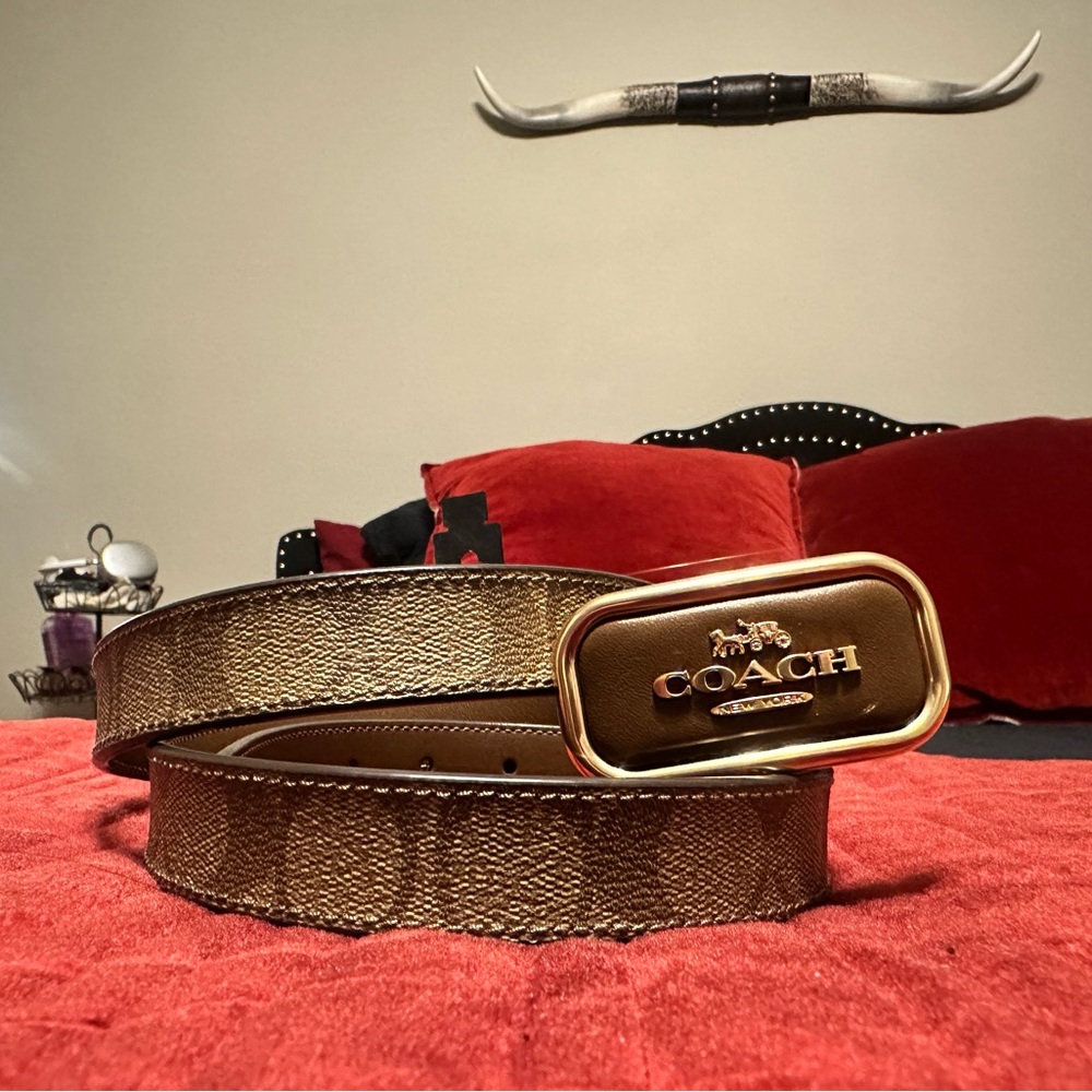 Coach Gold and Brown Belt Bag